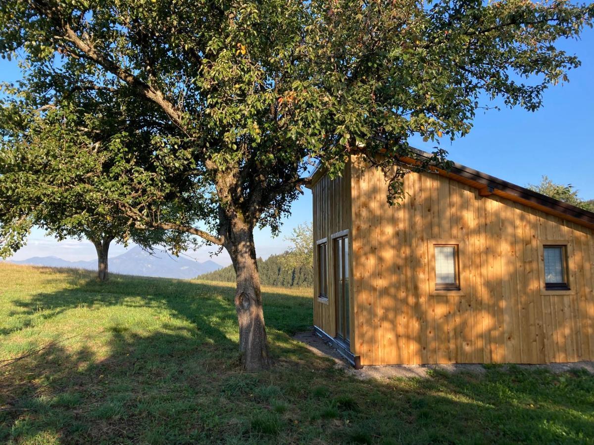 Вилла Tiny House Mislinja Экстерьер фото