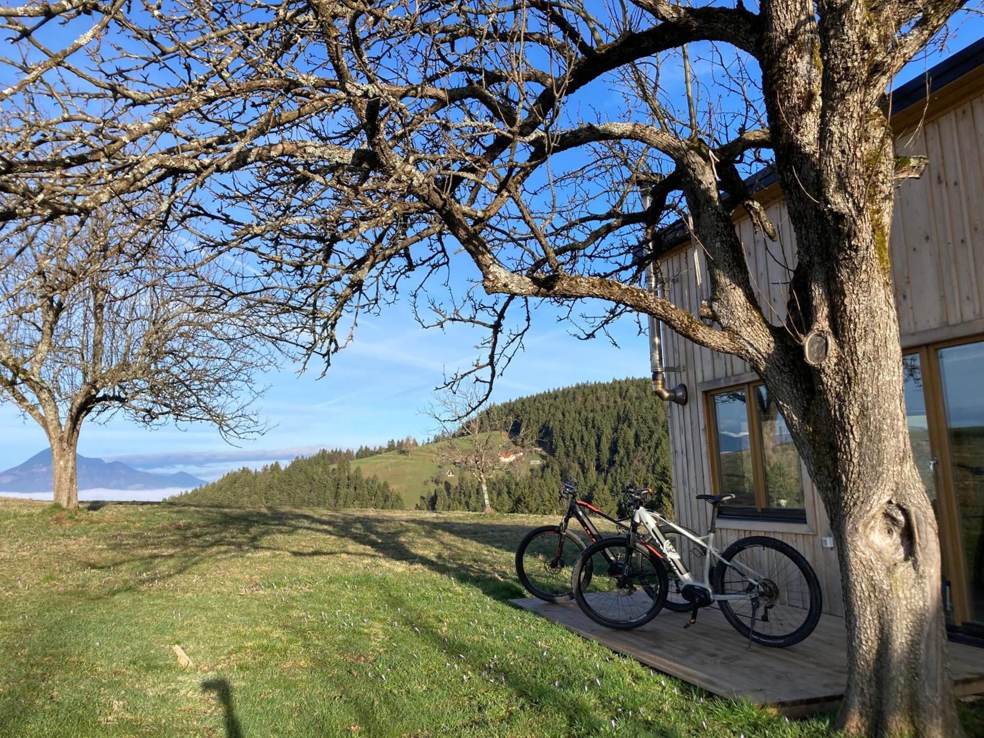 Вилла Tiny House Mislinja Экстерьер фото